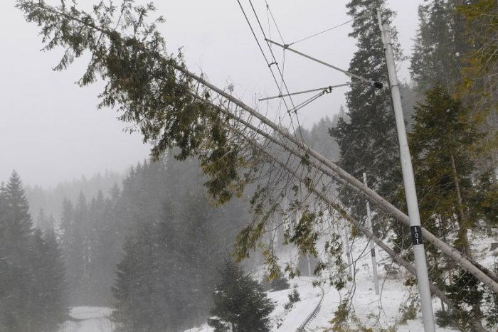 Ilustračný obrázok k článku Kolaps na železniciach! Víchrica a popadané stromy skomplikovali dopravu