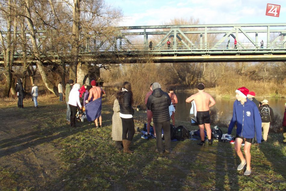 Ilustračný obrázok k článku FOTO a VIDEO z Hlohovca: Ľadové medvede sa vyšantili vo Váhu