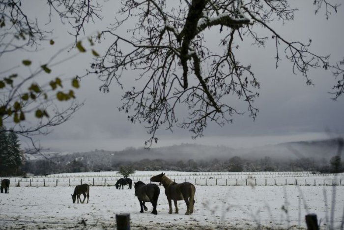 Ilustračný obrázok k článku RANNÁ ŠTVORKA: Ambróz prináša aj snehové prehánky