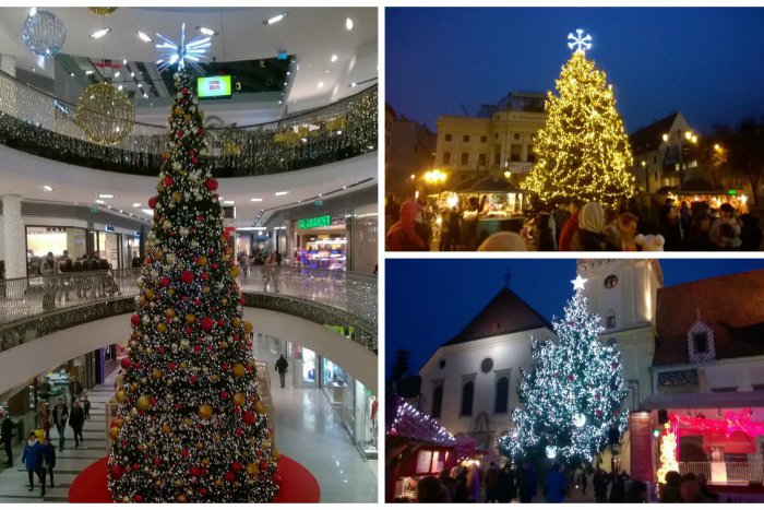 Ilustračný obrázok k článku HLASUJTE: Ktorý vianočný stromček si zaslúži titul NAJkrajší?