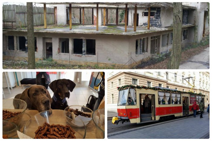 Ilustračný obrázok k článku TOP UDALOSTI týždňa: Snežienke hrozí zbúranie, vo vojenskom bunkri rozvoniava jedlo