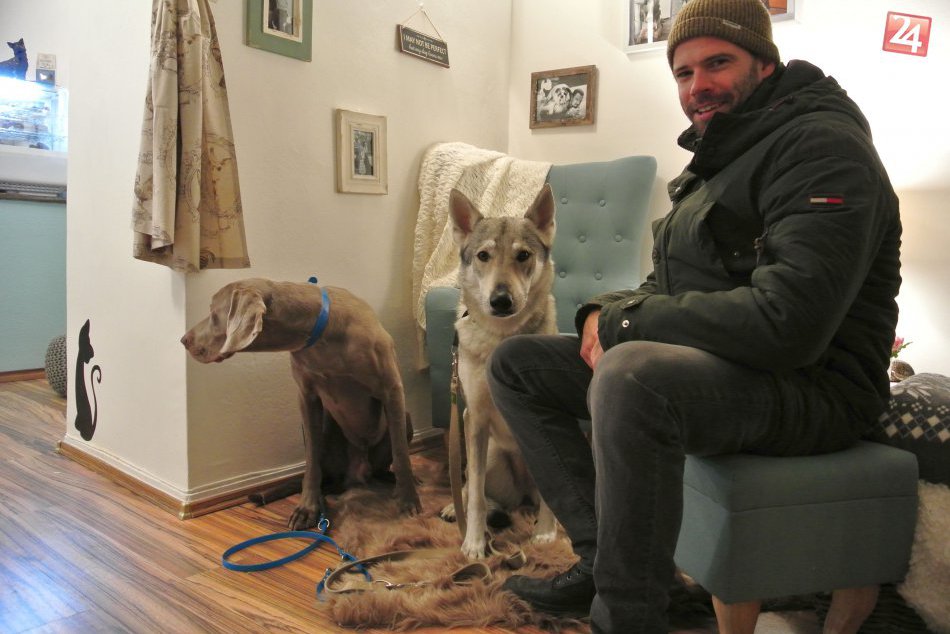 Ilustračný obrázok k článku Kaviareň pre psíkov, kde majú dobrú kávu aj mlsky pre vrtiace sa chvostíky