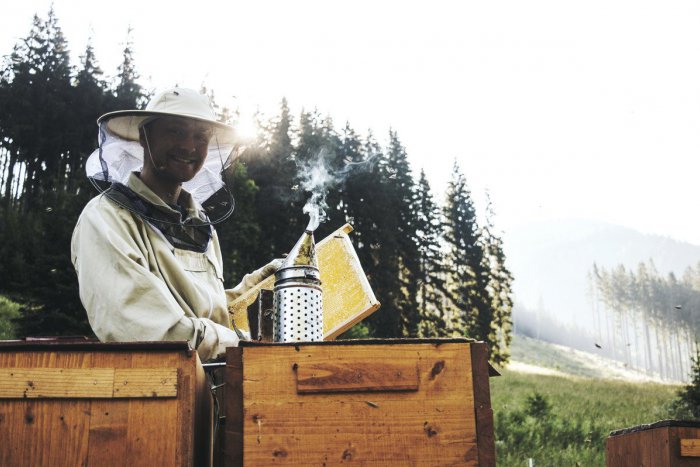 Ilustračný obrázok k článku Študent SPU s cenou ministra školstva: Vyrába originálny slovenský med, ROZHOVOR