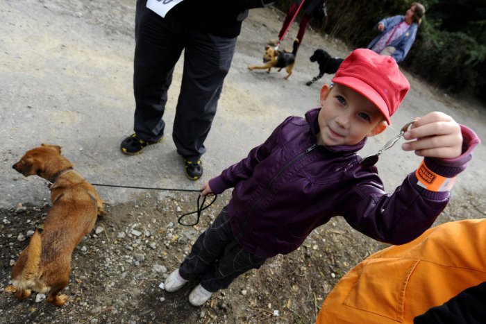 Ilustračný obrázok k článku Zimné prázdniny sú za dverami a vy máte málo dovolenky? Pošlite deti do tábora!