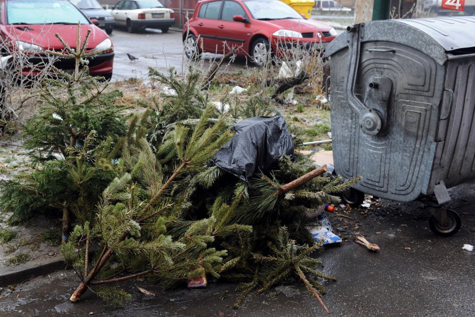 Ilustračný obrázok k článku Neviete čo s vianočným stromčekom? Jeho zber plánuje mikulášska radnica