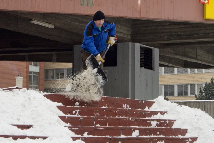 Ilustračný obrázok k článku Petržalská Biela linka: Číslo, ktoré v zime budete potrebovať