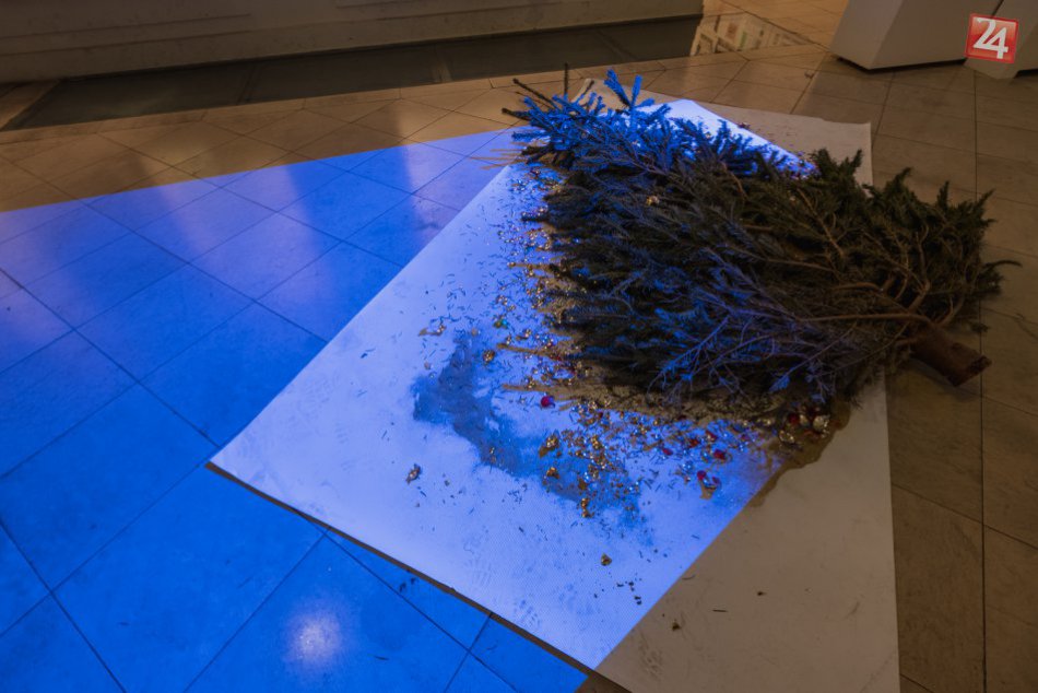 Ilustračný obrázok k článku FOTO: Čím je stromček v Slovenskej národnej galérii unikátny?