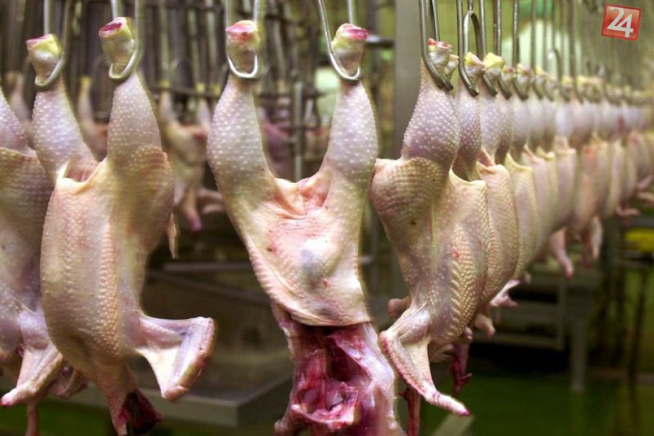 Ilustračný obrázok k článku Brazílske mäso aj pod Tatrami? Štátni veterinári rozbehli rozsiahle kontroly