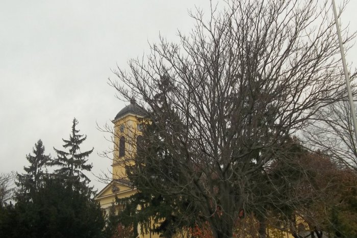 Ilustračný obrázok k článku Tvorivý čin roka 2016 v Šali pozná víťazov: TIETO mená získali ocenenia