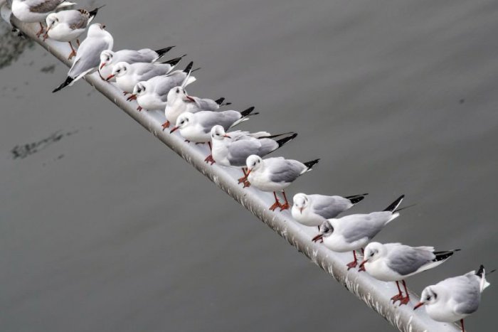 Ilustračný obrázok k článku RANNÁ ŠTVORKA: Adela prichádza so zamračenou oblohou i denným mrazom