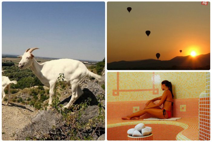 Ilustračný obrázok k článku VIANOČNÉ TIPY: Ako zohnať originálny darček na poslednú chvíľu?