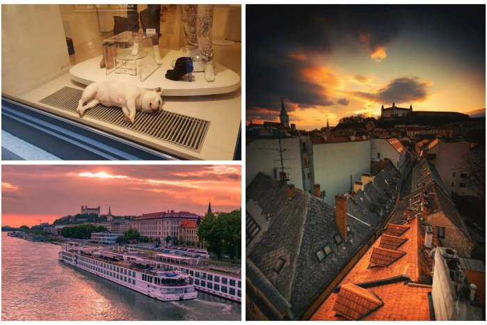 Ilustračný obrázok k článku TOP 10: Fotografie, ktoré sa vám v roku 2016 najviac páčili