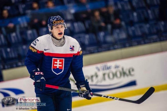 Ilustračný obrázok k článku Na MS v Toronte aj dvaja HOBÁci