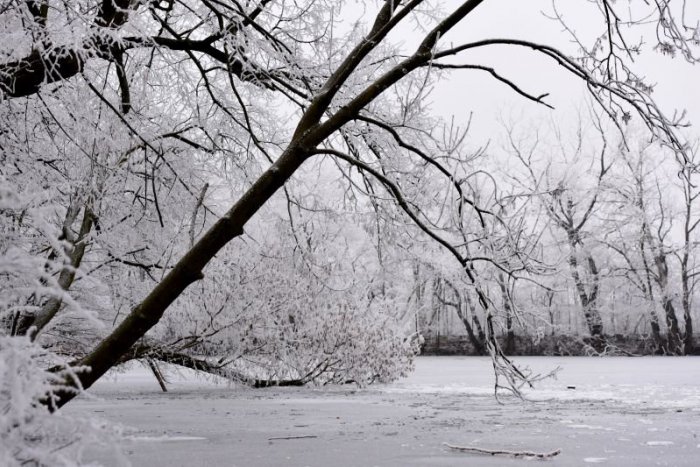 Ilustračný obrázok k článku Meteorológovia varujú pred nočnými teplotami: Pod Tatrami udrú silné mrazy