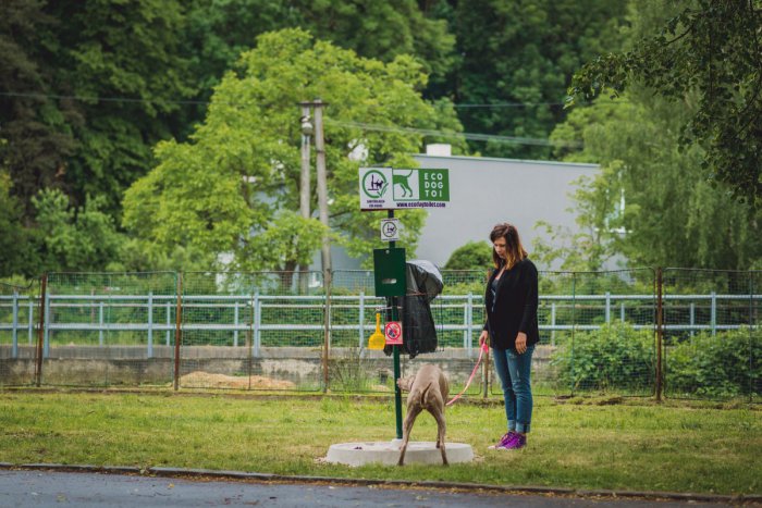 Ilustračný obrázok k článku Ekologické psie toalety v Karlovej Vsi nebudú