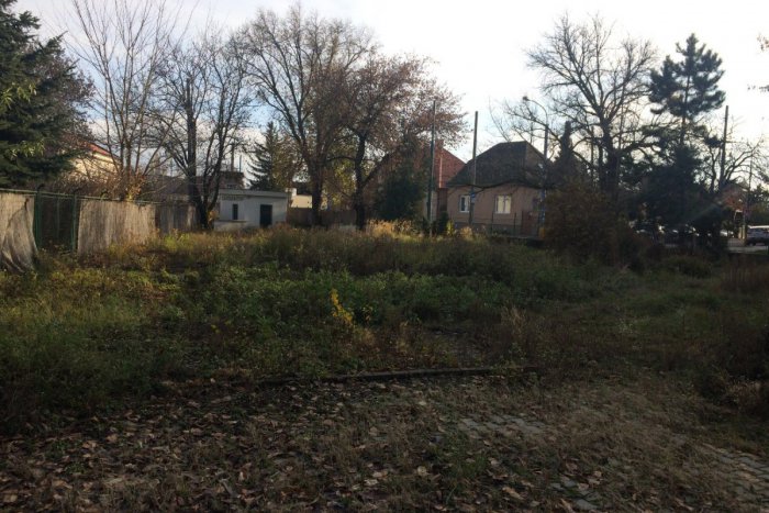 Ilustračný obrázok k článku Univerzita Komenského vybuduje prvú univerzitnú komunitnú záhradu na Slovensku