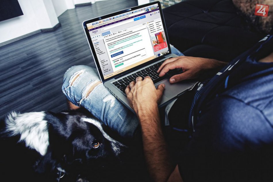 Ilustračný obrázok k článku TOP 7 najužitočnejších skupín na sociálnej sieti pre Bratislavčanov. Máte svoju obľúbenú?