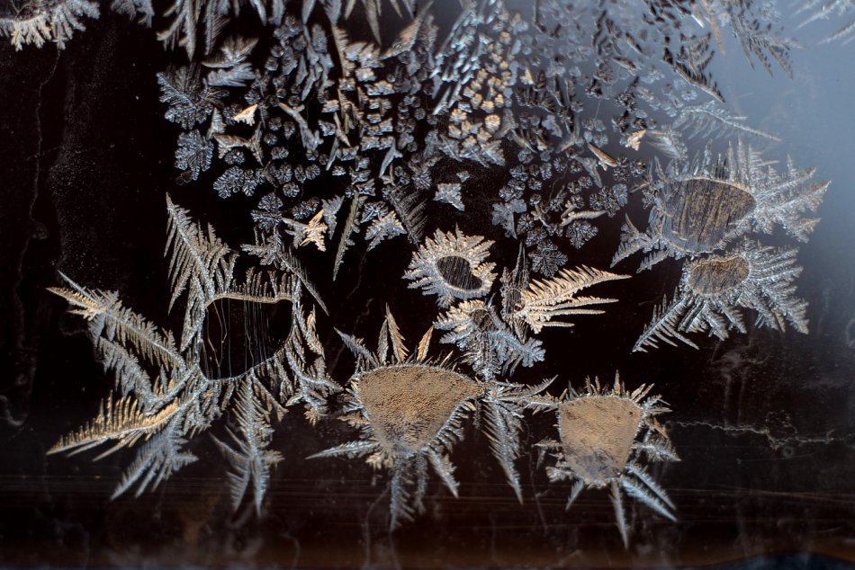 Ilustračný obrázok k článku FOTO: Keď mráz maľuje kvety. Nádhera pri Bystrici dokonale zachytená fotografkou