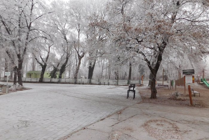 Ilustračný obrázok k článku TOP 5: Najklikanejšie články celého týždňa z Trnavy a okolia