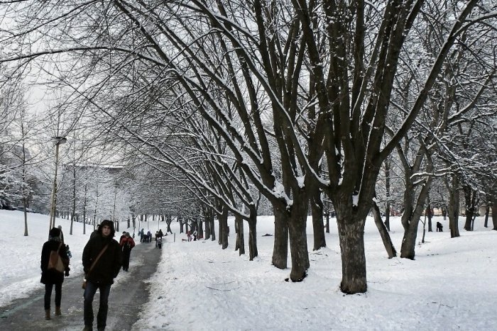 Ilustračný obrázok k článku KVÍZ: Ste pravé deti panelákov? 10 sídliskových otázok zo Žiliny, ktoré musíte dať!