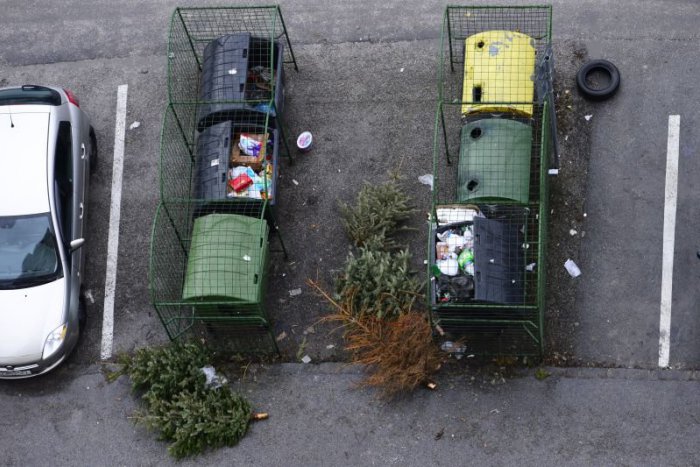 Ilustračný obrázok k článku Mestá začínajú s odvozom vianočných stromčekov, dobre ich odzdobte