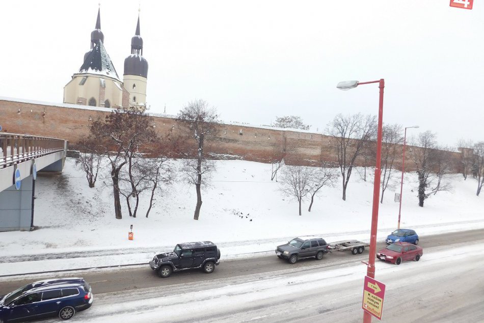 Ilustračný obrázok k článku Výrub stromov na Hlbokej čelí kritike: V Trnave rezonuje petícia, čo napísal primátor?