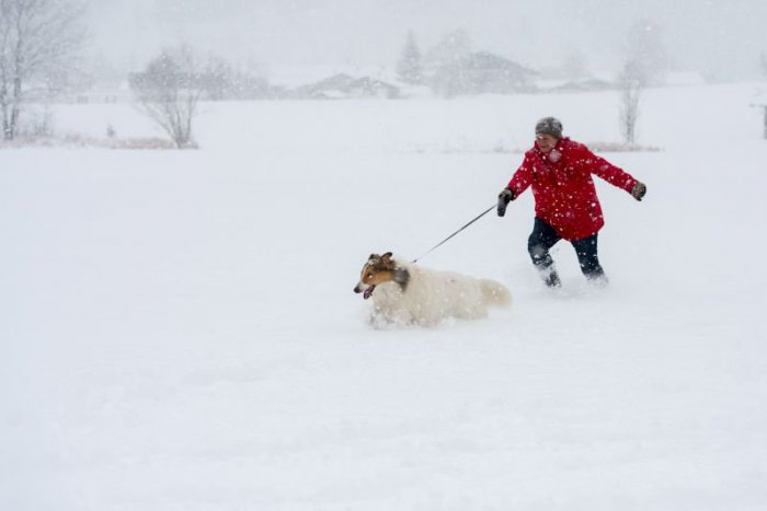 Ilustračný obrázok k článku RANNÁ ŠTVORKA: Víkend nám prináša snehové prehánky a mínusové teploty