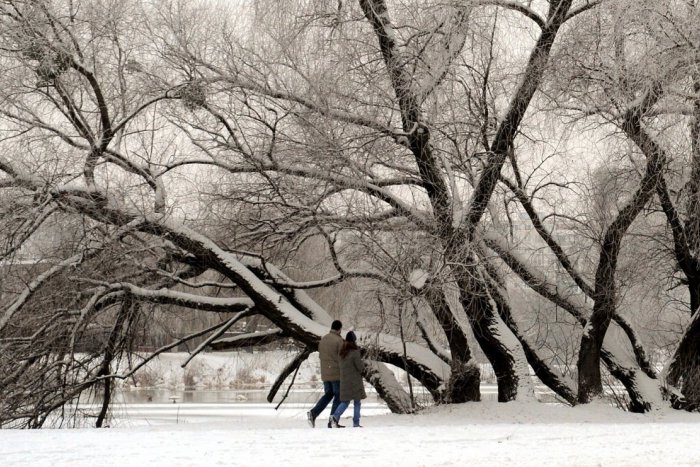Ilustračný obrázok k článku Prichádza víkend: Ako si v Šali užijete voľno?