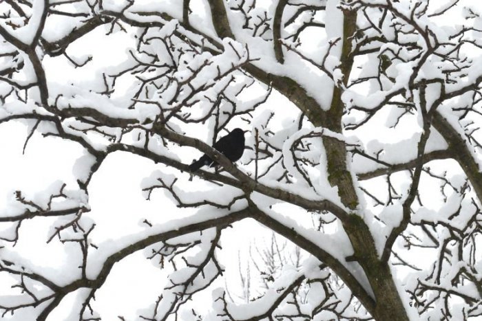 Ilustračný obrázok k článku Čo s načatým týždňom? Prehľad akcií v Mikuláši a okolí