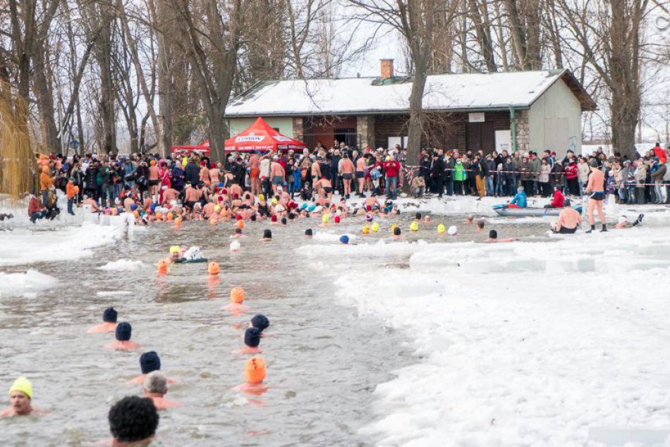 Ilustračný obrázok k článku Ľadové medvede sa prebúdzajú: Blíži sa zraz slovenských otužilcov v Nitre