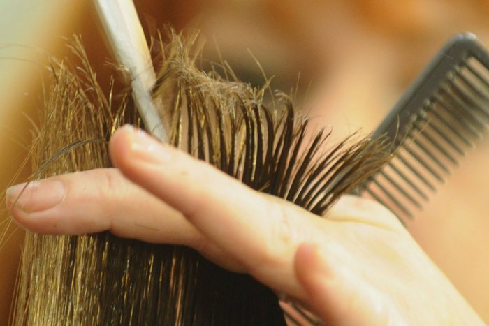 Ilustračný obrázok k článku Jubileum nevšedného rekordu: Prešovčanka zaujala meter a pol dlhými vlasmi, FOTO