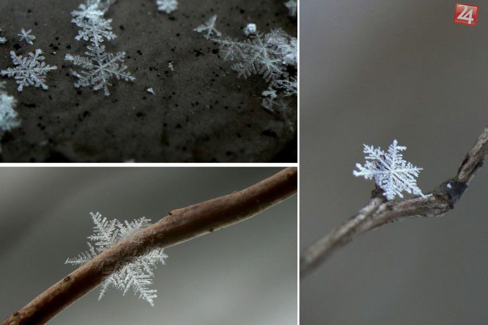 Ilustračný obrázok k článku FOTO: Krehká nádhera zachytená pri Bystrici. Snehové vločky takto bežne neuvidíte