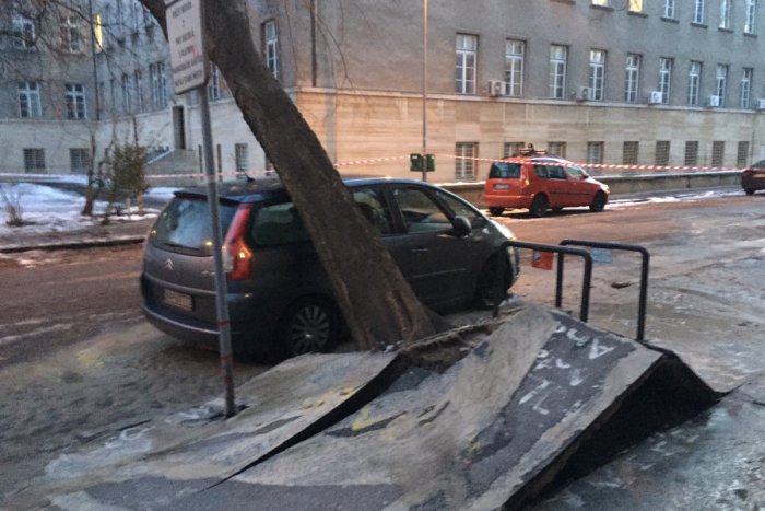 Ilustračný obrázok k článku Vyvrátený strom takmer spadol na cestu. Zabránilo mu v tom zaparkované auto