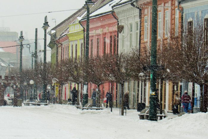 Ilustračný obrázok k článku Videli ste ich už? Tieto články sa hrdia titulom najčítanejšie tohto týždňa