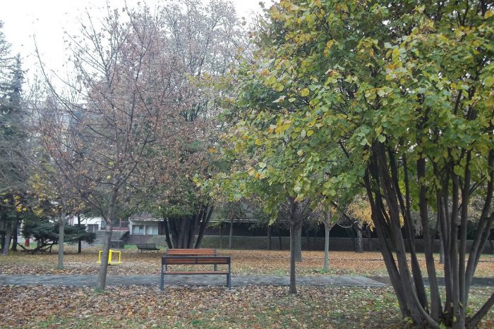 Ilustračný obrázok k článku Pomáhajú Šali rásť: Členovia Občianskeho združenia Petra Bošňáka pripravujú novinky