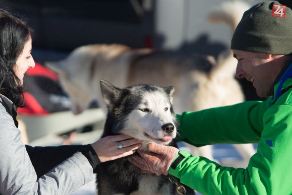 Ilustračný obrázok k článku FOTO: Králiky cez víkend obsadili psíky. Rozkošní chlpáči zápolili na snehu