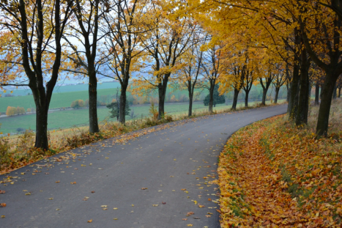Ilustračný obrázok k článku Budúcnosť Hája v Mikuláši: Vieme, čo pripravuje radnica
