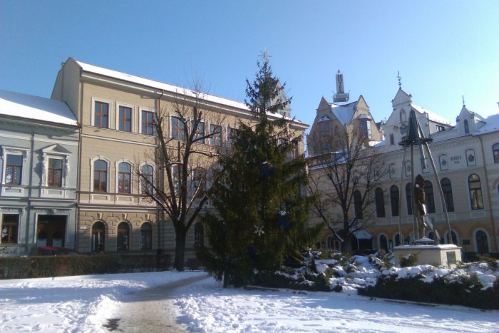 Ilustračný obrázok k článku FOTO: Vianočné stromčeky neskončia v odpade. Poslúžia priamo Lučenčanom