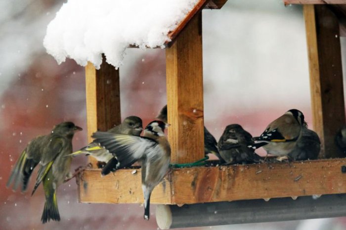 Ilustračný obrázok k článku RANNÁ ŠTVORKA: V utorok nás čaká zamračená obloha, dážď i sneženie