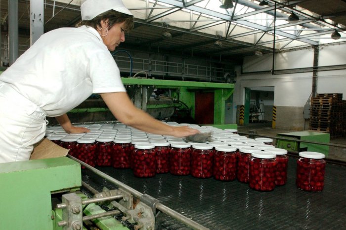 Ilustračný obrázok k článku Známa novozámocká firma chystá zmeny: Do procesu chce zapojiť študentov