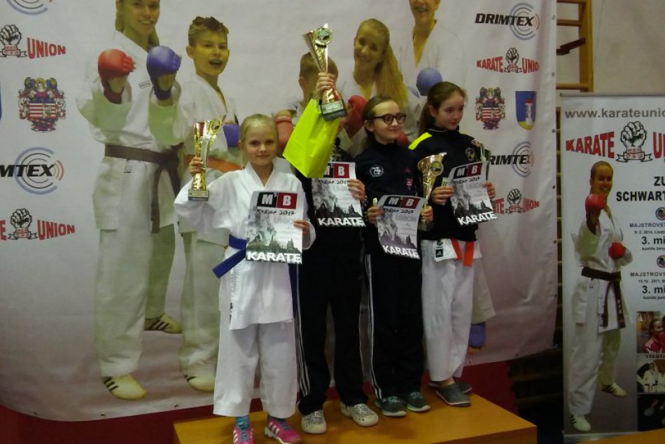 Ilustračný obrázok k článku Shihanisti v Košiciach: Memoriál Michala Bozogáňa priniesol medaily