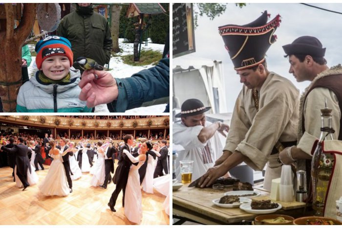 Ilustračný obrázok k článku TIPY NA VÍKEND: Zabíjačkové slávnosti, plesová sezóna aj vinohradnícka súťaž