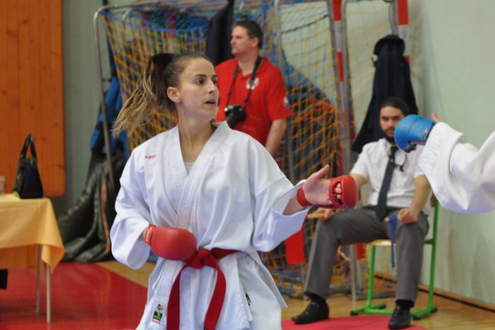 Ilustračný obrázok k článku Karatisti bojovali v Dolnom Kubíne: Na Orave sa Podtatrancom darilo