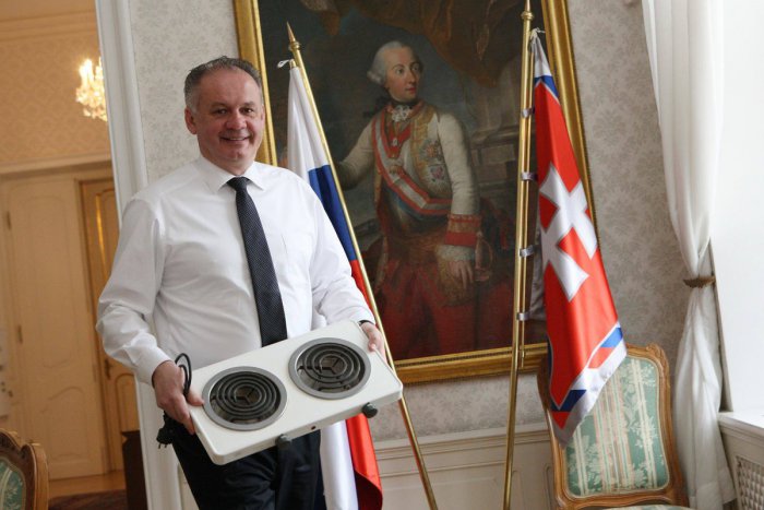 Ilustračný obrázok k článku Schusterova dvojplatnička sa presťahovala. Prezident Kiska ju daroval múzeu