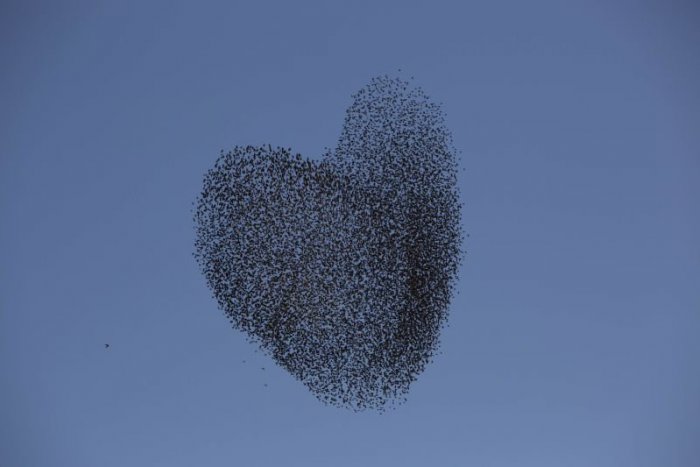 Ilustračný obrázok k článku RANNÁ ŠTVORKA: Valentínske počasie nám pozdvihne náladu