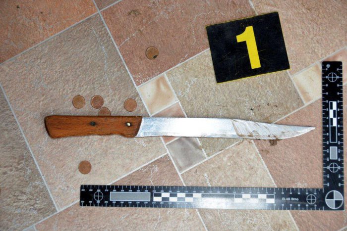 Ilustračný obrázok k článku Hádka dvoch žien sa skončila krvavo. Žena bodla svoju sokyňu kuchynským nožom