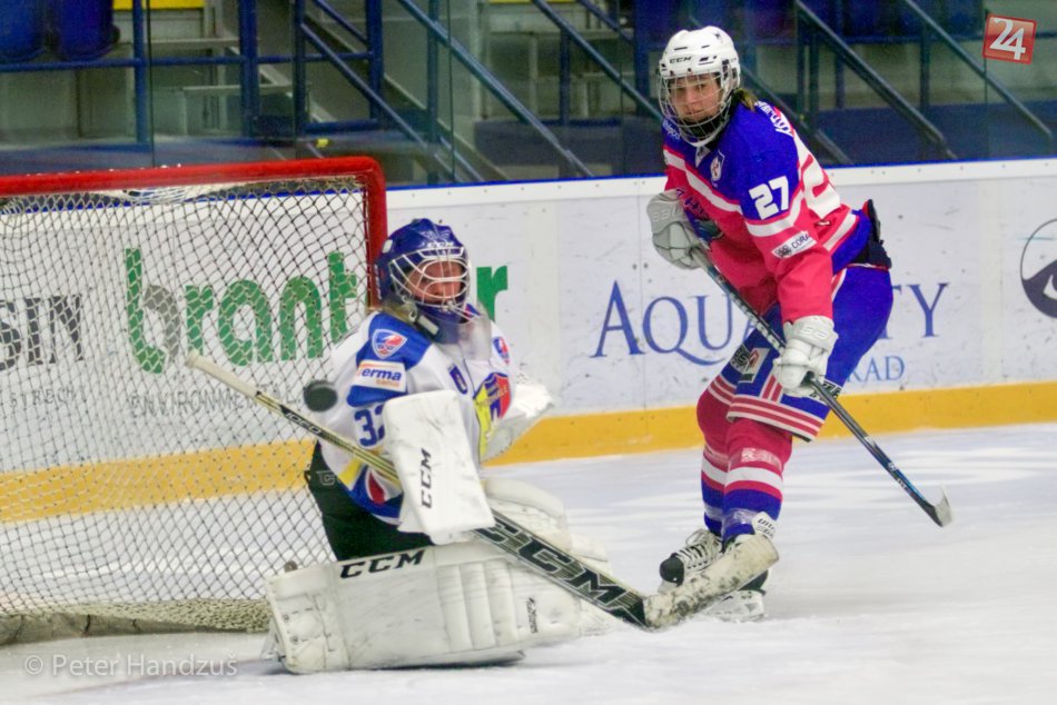 Ilustračný obrázok k článku Očakávaný postup líšok: Do semifinále so skóre 54:1