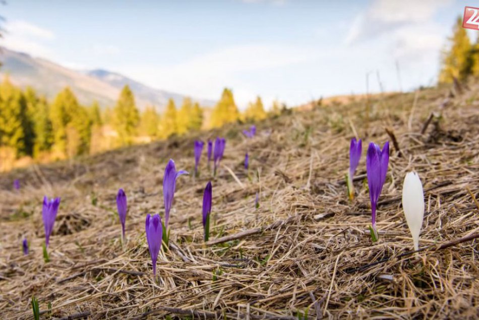 Ilustračný obrázok k článku TIPY na VÍKEND: čo ponúkne Ružomberčanom prvý aprílový víkend?