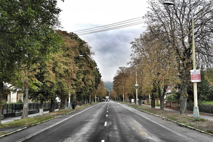 Ilustračný obrázok k článku V Strážskom majú novú atrakciu: Zo 100-ročného javora vznikol anjel pútnikov, FOTO