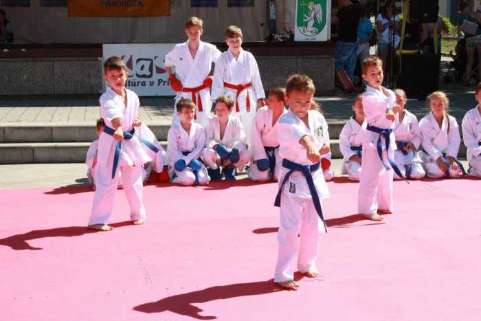 Ilustračný obrázok k článku Karatisti zo Šale žnú spechy: Vybojovali popredné priečky v Pohári federácie